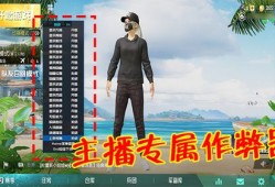 和平精英查挂系统_查外挂 和平精英