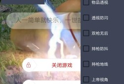 和平精英透视永久外挂_和平静英透视外挂