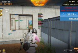 透视辅助器和平精英_和平精英免费透视辅助付费