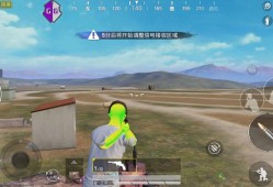 和平精英鸡仙辅助_龙蛋和平精英辅助