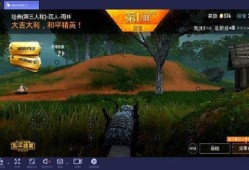 和平精英_和平精英图书馆外挂现象
