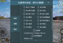 烈日下的和平精英辅助利器：提升游戏实力，征服战场_烈日和平精英辅助