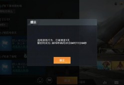 《透视辅助泛滥下的和平精英游戏环境解析》_和平精英好多人开透视