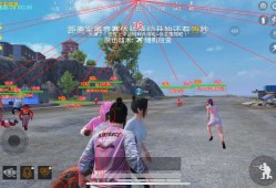 梅花辅助网和平精英_梅花辅助网网和平精英透视