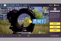 和平精英电脑版透视辅助软件下载_和平精英电脑怎么开透视挂