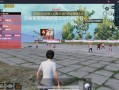 和平精英的挂的软件_关于和平精英外挂的软件