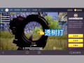 和平精英怎么开透视_和平精英打开透视镜头