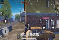 和平精英免费自瞄锁头手机版_和平精英自瞄锁头直播