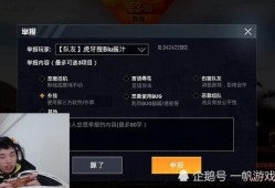 和平精英感觉全是挂_和平精英外挂侦察员