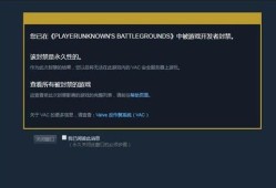 茶茶和平精英辅助官网_和平精英辅助变态