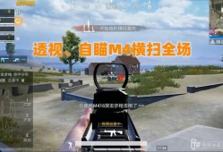 揭秘和平精英透视高手：游戏技巧、战术分析与实战心得_和平精英透视高手