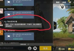 和平精英透视辅助器免费_和平精英怎么辅助操作视频