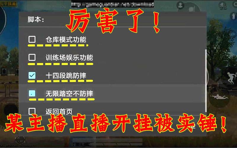 《揭秘和平精英主播是否开挂:游戏内外的真相探讨》_和平精英有主播开挂吗 第1张 《揭秘和平精英主播是否开挂:游戏内外的真相探讨》_和平精英有主播开挂吗 第1张
