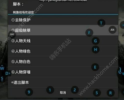 和平精英辅助购买平台_和平精英晨曦辅助  第2张